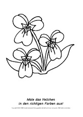Frühlingsblüher-Ausmalbilder 2.pdf